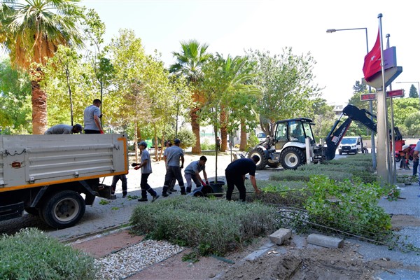 Bornova'da Cumhuriyet Meydanı'na sakura ve tarçın ağaçları dikildi