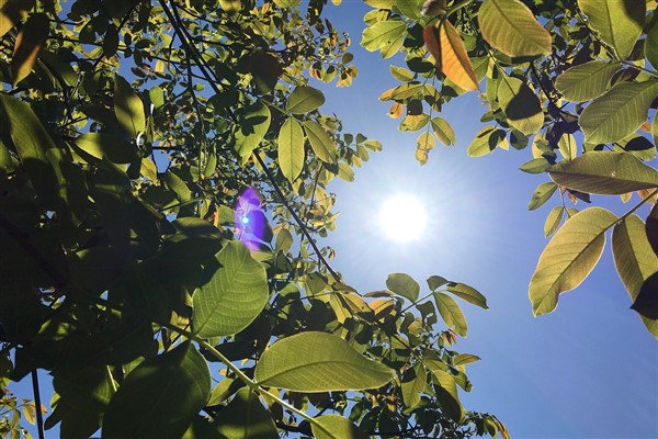 Hava sıcaklığı doğu kesimlerde mevsim normalleri civarında seyredecek
