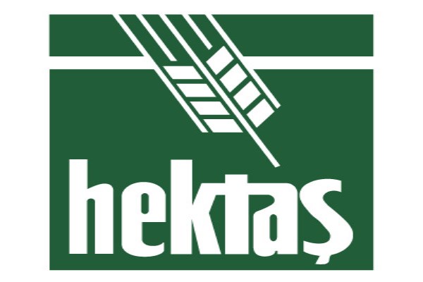 Hektas Asia LLC'nin faaliyetleri