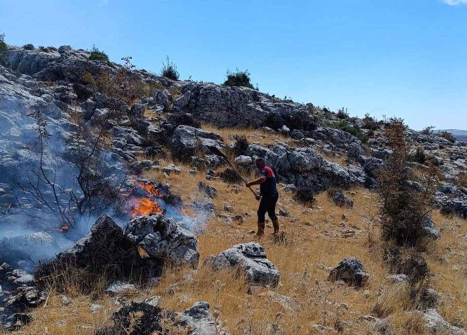 Mesire alanında korkutan yangın